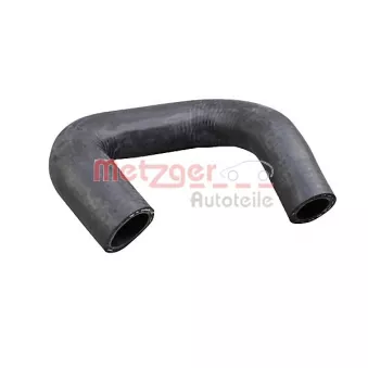 Durite de radiateur METZGER 2421427