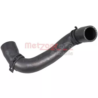 Durite de radiateur METZGER 2421430