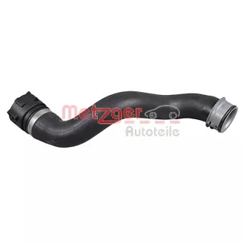 Durite de radiateur METZGER 2421432