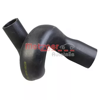 Durite de radiateur METZGER 2421444