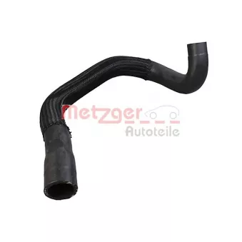 Durite de radiateur METZGER 2421445
