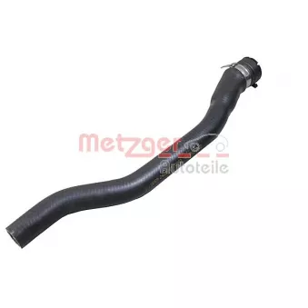 Durite de radiateur METZGER 2421449