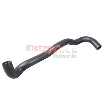 Durite de radiateur METZGER 2421452