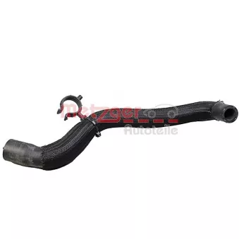 Durite de radiateur METZGER 2421455