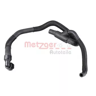 Durite de radiateur METZGER 2421458