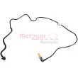 Durite de radiateur METZGER 2421496 - Visuel 1