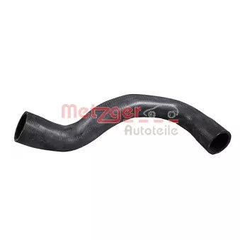 Durite de radiateur METZGER 2421514