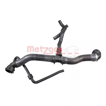 Durite de radiateur METZGER 2421529