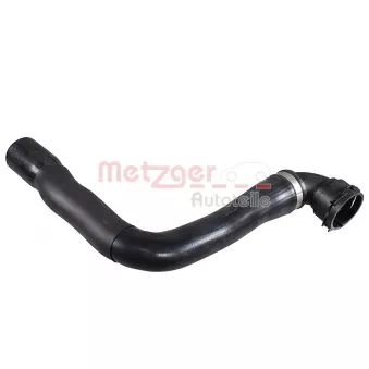Durite de radiateur METZGER 2421545