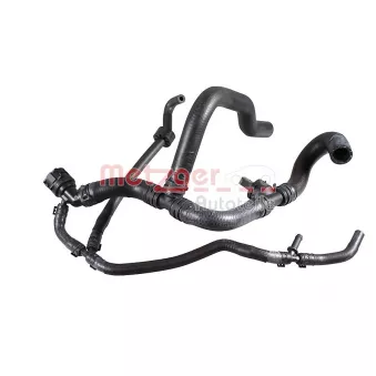 Durite de radiateur METZGER 2421547