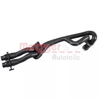 Durite de radiateur METZGER 2421553