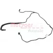 Durite de radiateur METZGER 2421554 - Visuel 1