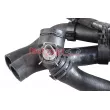 Durite de radiateur METZGER 2421560 - Visuel 3
