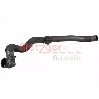 Durite de radiateur METZGER 2421561