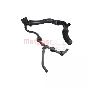 Durite de radiateur METZGER 2421562