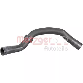 Durite de radiateur METZGER 2421564