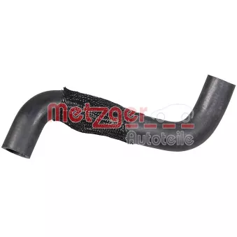 Durite de radiateur METZGER 2421572