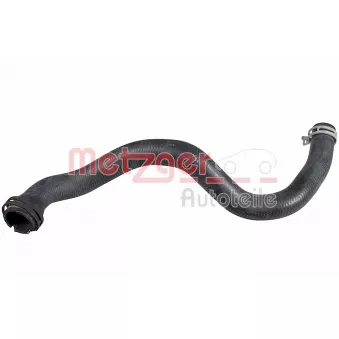 Durite de radiateur METZGER 2421573