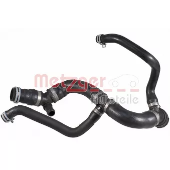 Durite de radiateur METZGER 2421584