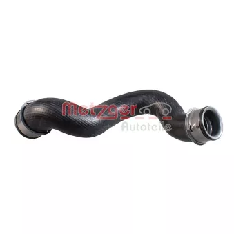 Durite de radiateur METZGER 2421587