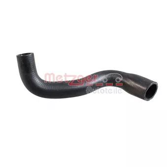 Durite de radiateur METZGER 2421588