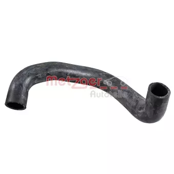 Durite de radiateur METZGER 2421592