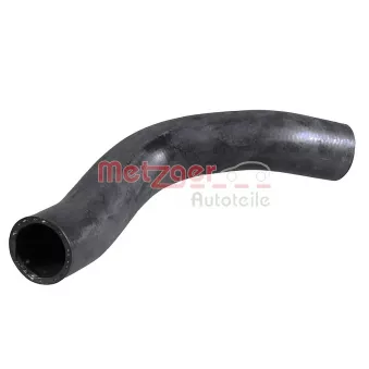 Durite de radiateur METZGER 2421593