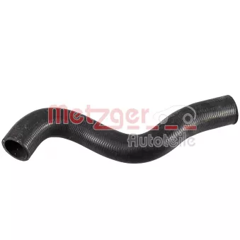Durite de radiateur METZGER 2421595