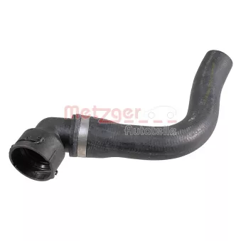Durite de radiateur METZGER 2421606