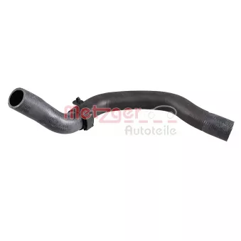 Durite de radiateur METZGER 2421627