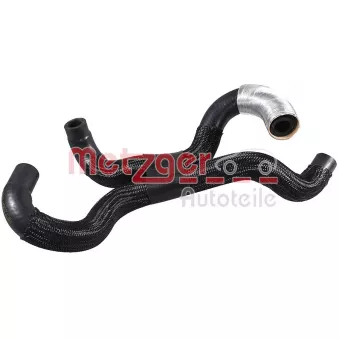 Durite de radiateur METZGER 2421646