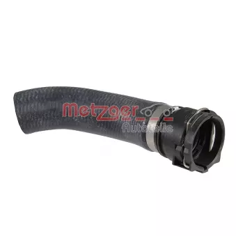 Durite de radiateur METZGER 2421669