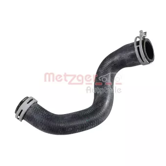 Durite de radiateur METZGER 2421671