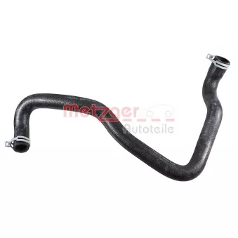 Durite de radiateur METZGER 2421672