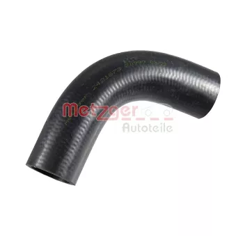 Durite de radiateur METZGER 2421673