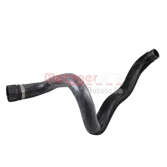 Durite de radiateur METZGER 2421687
