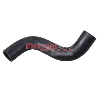 Durite de radiateur METZGER 2421691