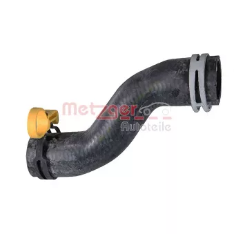 Durite de radiateur METZGER 2421719