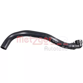 Durite de radiateur METZGER 2421725