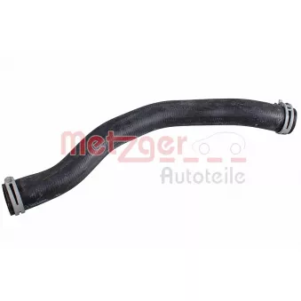 Durite de radiateur METZGER 2421731