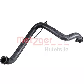 Durite de radiateur METZGER 2421733