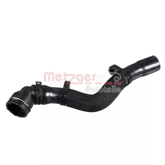 Durite de radiateur METZGER 2421753