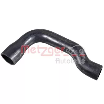 Durite de radiateur METZGER 2421763