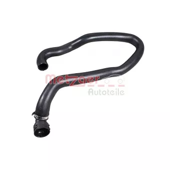 Durite de radiateur METZGER 2421790