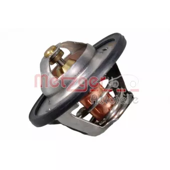 Thermostat d'eau METZGER 4006463