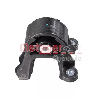 Suspension, Différentiel arrière gauche METZGER 8054275