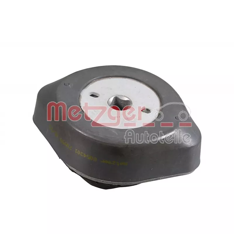 Suspension, boîte automatique METZGER 8054301