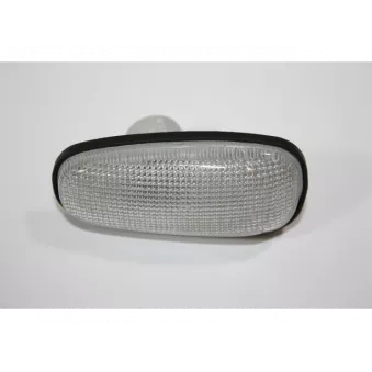 Feu clignotant AUTOMEGA 100093120