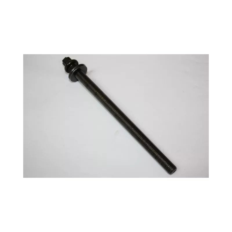 Jeu de boulons de culasse de cylindre AUTOMEGA 130095620