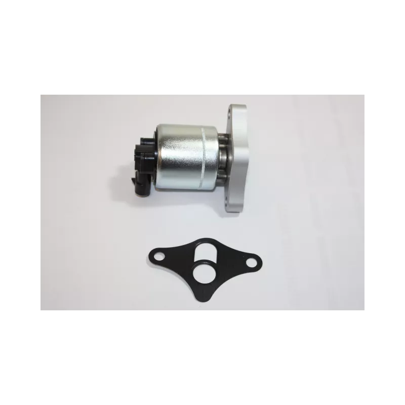 Vanne EGR AUTOMEGA 140024220